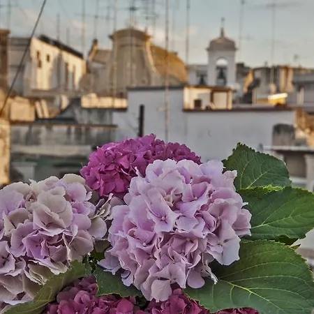 Le Nicchie Pensión Bari