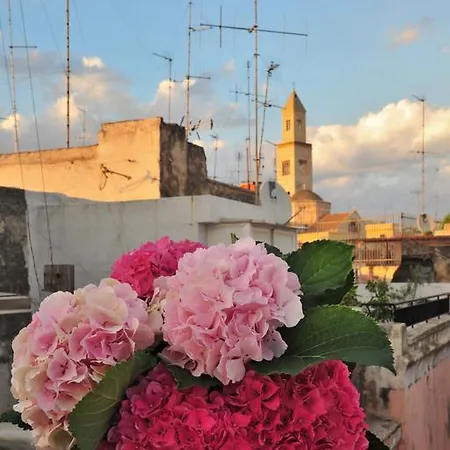 Pensión Le Nicchie 3*