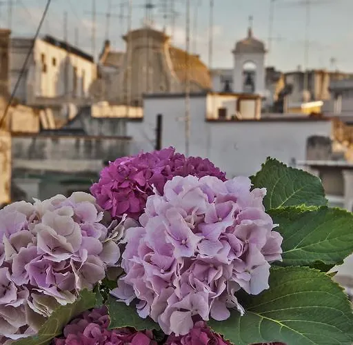 Le Nicchie 게스트하우스 바리